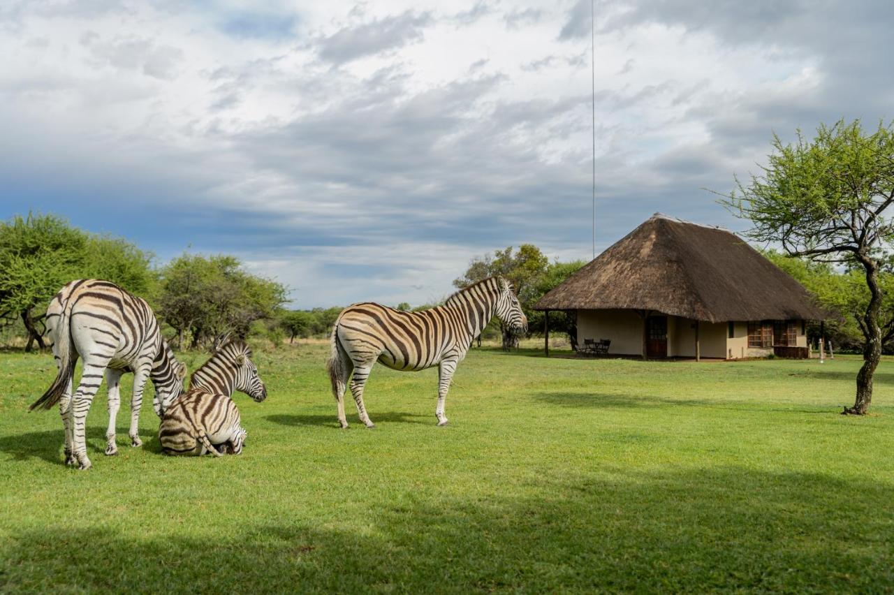 Mongena Private Game Lodge Rust de Winter Exterior photo